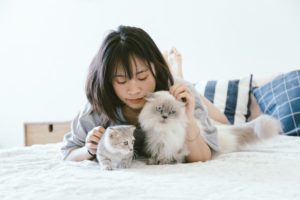7 Things You Need to Prepare Before You Raise A Cat