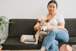 8 Tips That Can Make You the Best Pet Parent