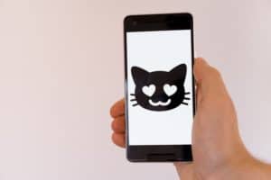Best Apps and Games for Cats