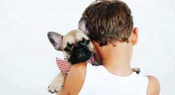 How to Treat Fleas on Your Furry Pets